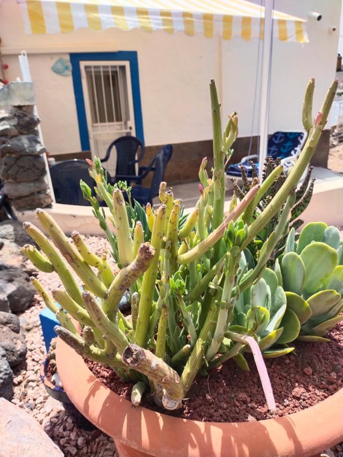 Casa Marinera En La Orilla Del Mar VilLajita Eksteriør bilde